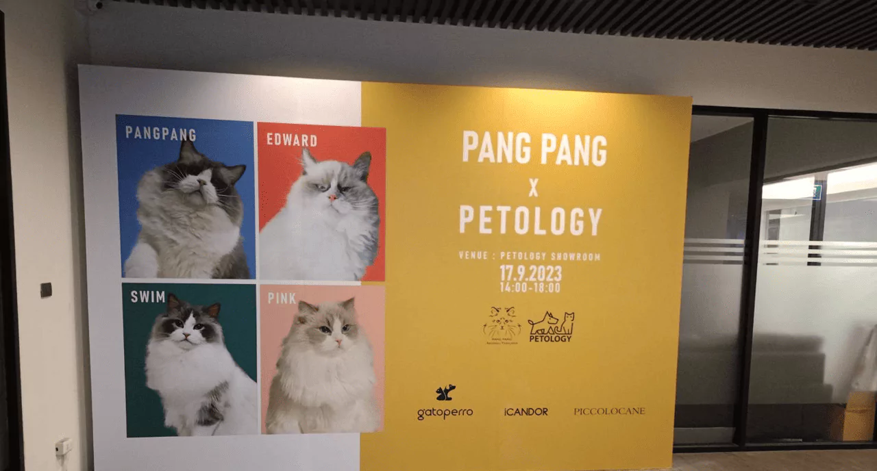 แบคดรอปรูปแมวสี่ตัวสีเหลือง