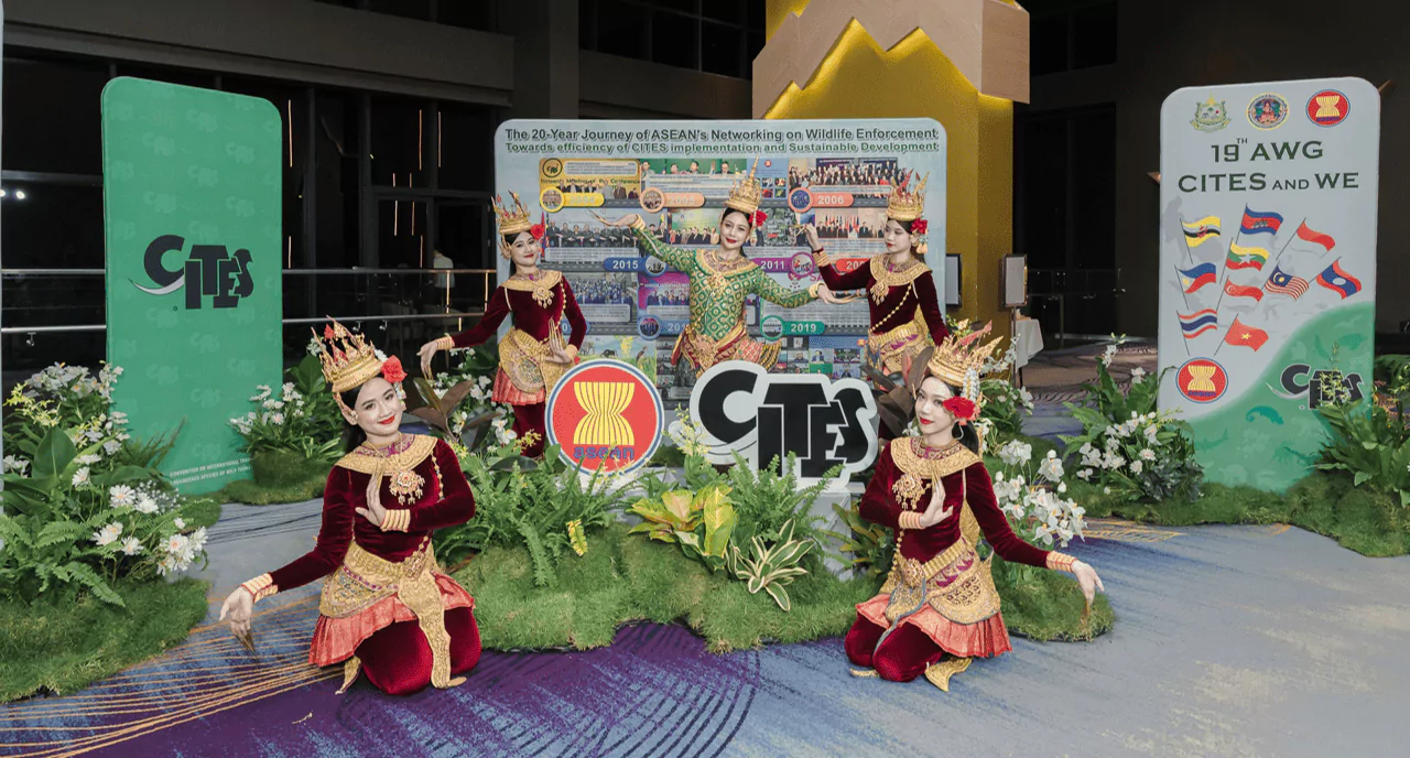 ผู้หญิงห้าคนใส่ชุดไทยกำลังถ่ายรูปอยู่หน้าแบคดรอปที่มีกาีตกแต่งด้วยใบไม้ต้นไม้สีเขียว