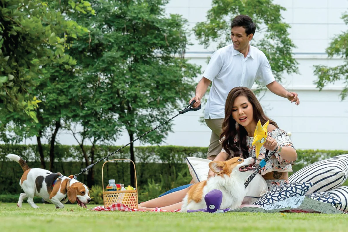 จัดงานเลี้ยงสัตว์เลี้ยง (Pet-Friendly Event)